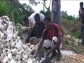 Ilha - kalkproduksjon
