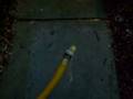 videos de Poor Polly... 
