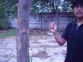 tes kunai kecil