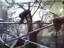Wednesday at the Zoo