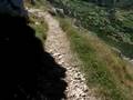 videos de Camino