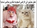 قوة الحوثيين في تصديهم للقوات السعودية