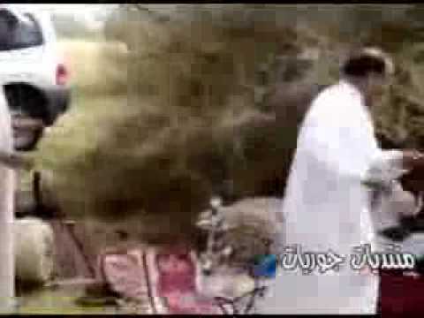 هندي ينيك سعودية