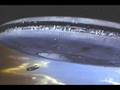 Sheldon Nidle Sirian Channeling Sept 03 08
