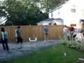 BFG BBQ 2008