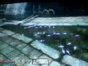 DUPLICATING ITEMS OBLIVION