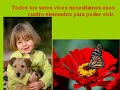 El ciclo de la vida