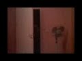 LA PARTERA CHORRA