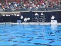 Barbara Nesbitt (OHIO STATE) - US Collegiates Nationals 2008