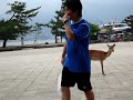 Ken Chased by Deers
