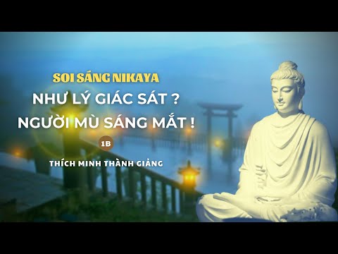 Soi Sáng NIKAYA - Như Lý Giác Sát ?  Người Mù Sáng Mắt ! 1B