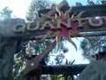 Quantum thorpe park by TPD