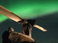 Northern Lights Northern Lights