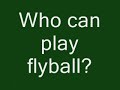 What is Flyball?