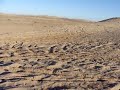 Gordon Wells Dune Jump