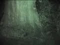 Ghosts filmed at the Haunted Myrtles Mansion in Lousianna. Ghosts filmed at the Haunted Myrtles Mansion in Lousianna.