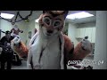 The Furries Smash My Laptop (Office Space Style)