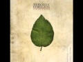 The Boxer Rebellion - The Runner