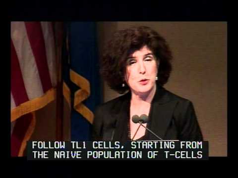 how to isolate human dendritic cells