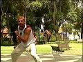 this are very amazing stunts perfomed at a very high level of skill martial kicks twists and turns which will leave your mouth open.