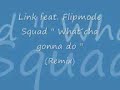 Link feat. Flipmode Squad - What´cha gonne do (Remix) Link feat. Flipmode Squad - What´cha gonne do (Remix)