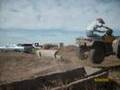 Ty & Kole go 4-wheelin