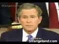 Bush Beat Box Bush Beat Box