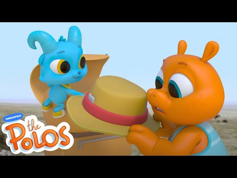 Rainforest Swim | MarcoPolo World School | Learn At Home