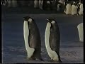JEAN MICHEL JARRE-OXYGENE