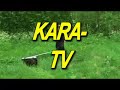 KARA-TV 6 (1/2)