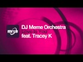 Dj Meme Orchestra Love Is You Video and Lyrics