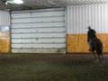 bubba at trainers 007.avi