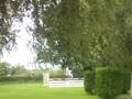 videos de rollo at hickstead