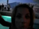 zrce2008 zrce2008