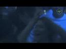Sektor 9 - Chapter IV Trailer Sektor 9 - Chapter IV Trailer