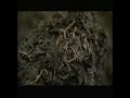 Worm Power - Worm Castings Fertilizer