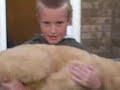 The funniest video ever 2!!!!!!!!!!!!!