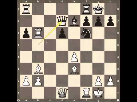 chess chess