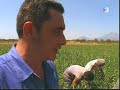 TV3 - Afers exteriors - Nicaragua Sandinista