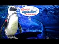 Ripley's Aquarium Myrtle Beach Reviews
