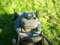 ecoterrorism caught on tape TOO EXTREME FOR TV