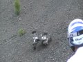 AWESOME QUAD WRECK DOWN COALHILL at treverton pa 5-16-10