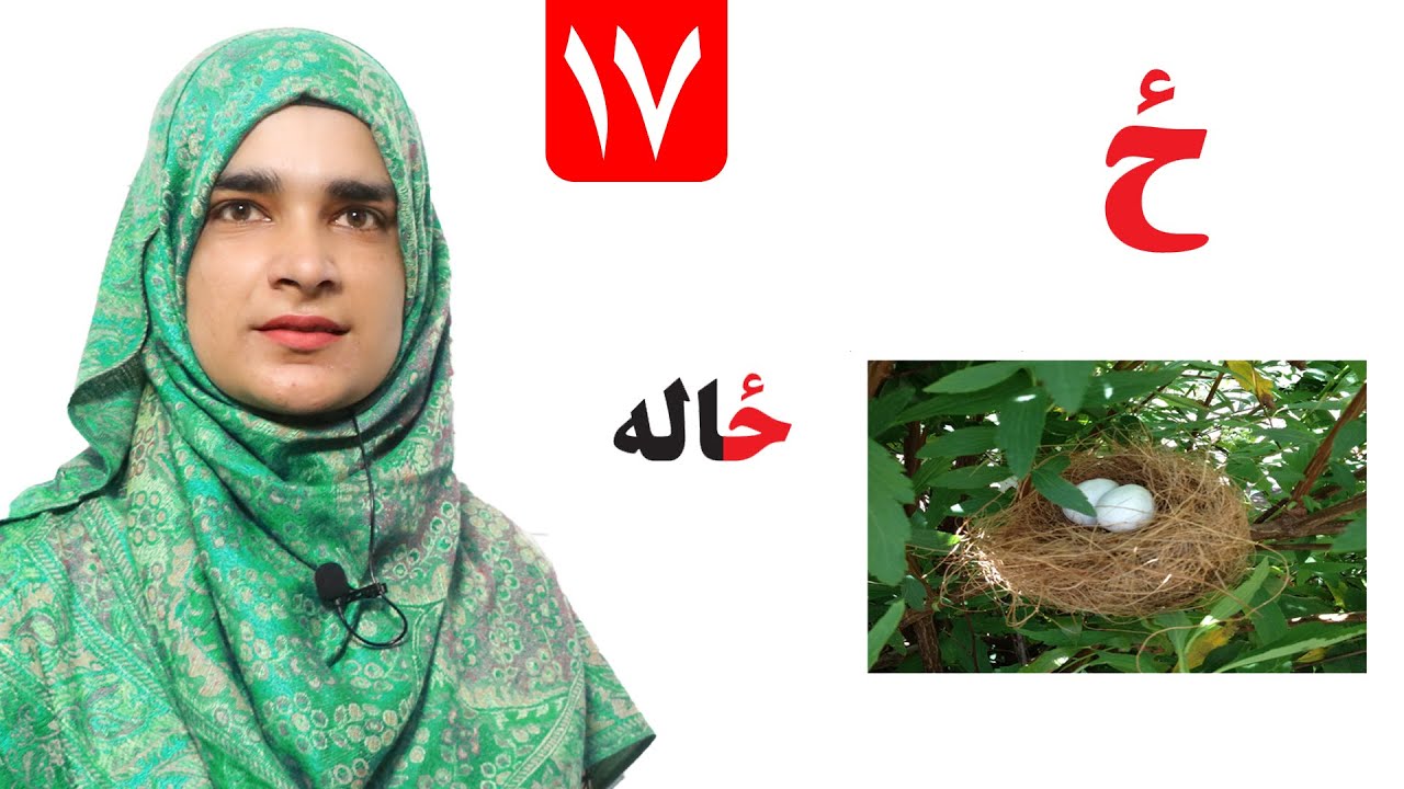 Lesson 17 _ Grade 1 _ Pashto book / لوست ۱۷_ د پښتو کتاب _ لومړی ټولګی