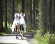 videos de Lits+Lauwers026 Skieppedrifte01