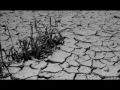 Campaña por una ley que prohíba la mega explotación Minera a Cielo Abierto