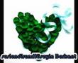 H�seyin Berkant   sen