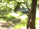 Video screenshot