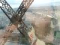 Birds Love on Deer na Torre Eiffel