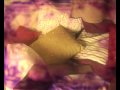 Ametur Music Video, Tonight Tonight - Smashing Pumpkins