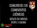Scouts - Practica de Amarres